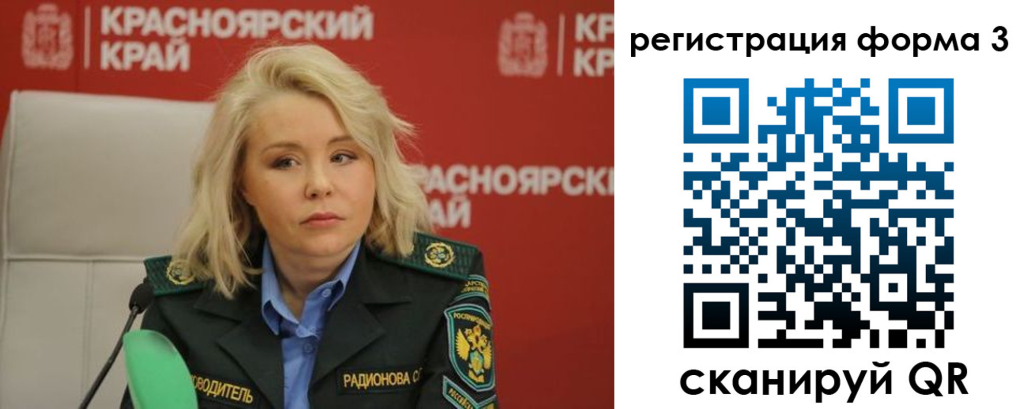 прописка для школы в Кольчугино